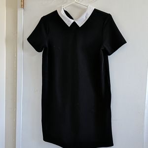 Collared black dress